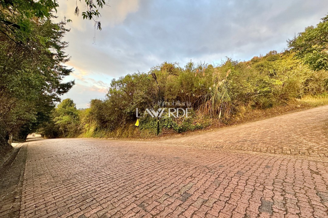 Venta - El Mejor Lote Con Vista Panoramica A La Sabana — foto 2