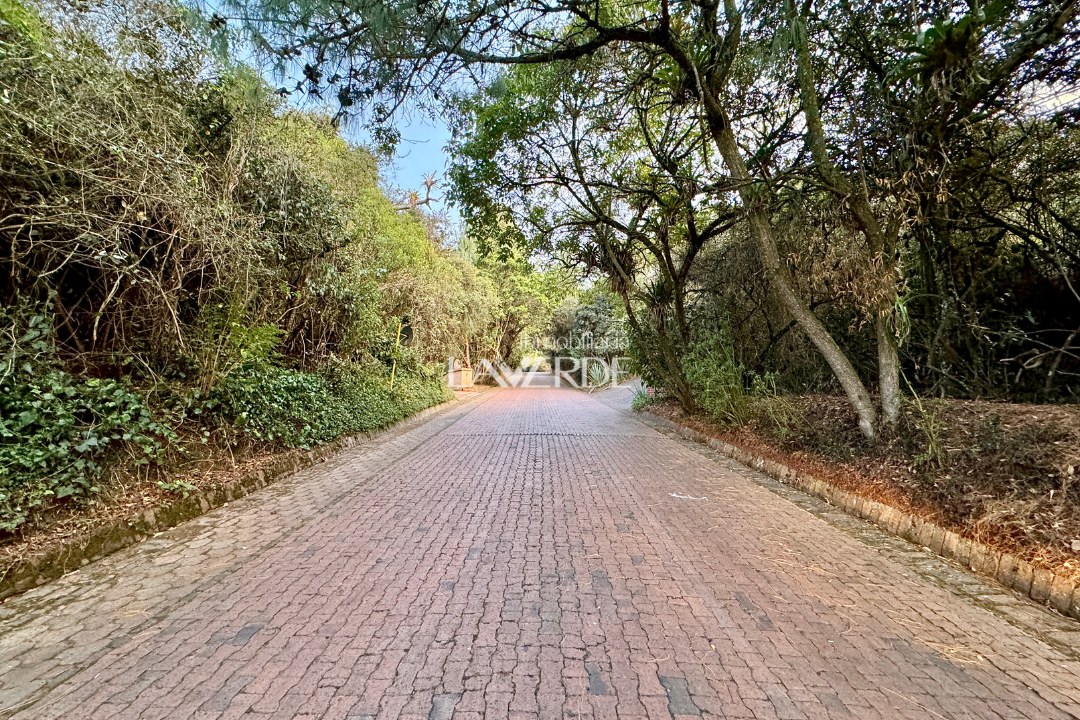 Venta - El Mejor Lote Con Vista Panoramica A La Sabana — foto 3